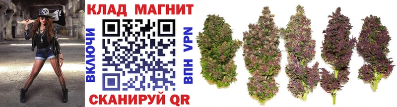 Что такое Кизляр Псилоцибиновые грибы Меф мяу мяу ГАШ МАРИХУАНА