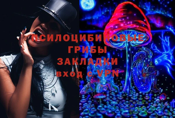 дживик Балахна
