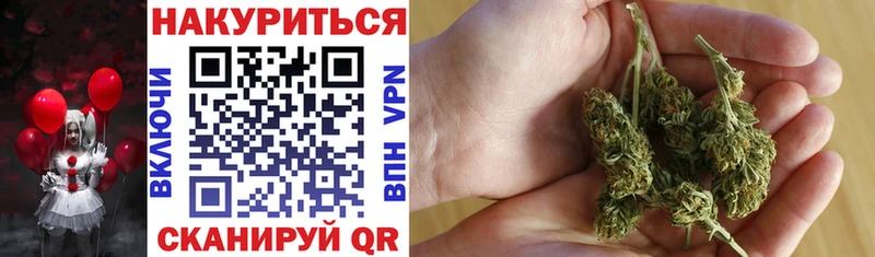 KRAKEN ТОР Кизляр Бошки Шишки сатива